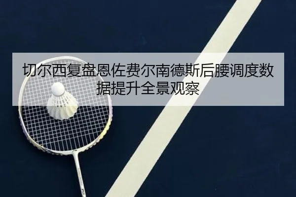 切尔西复盘恩佐费尔南德斯后腰调度数据提升全景观察